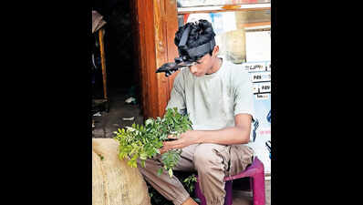 The unsettling sight of AI in Bengaluru’s local markets