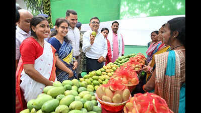 In rural Bokaro, women’s fruits of labour turn them into ‘Lakhpati Didis’