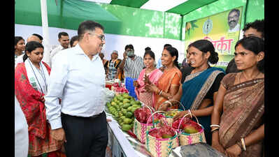 In rural Bokaro, women’s fruits of labour turn them into ‘Lakhpati Didis’