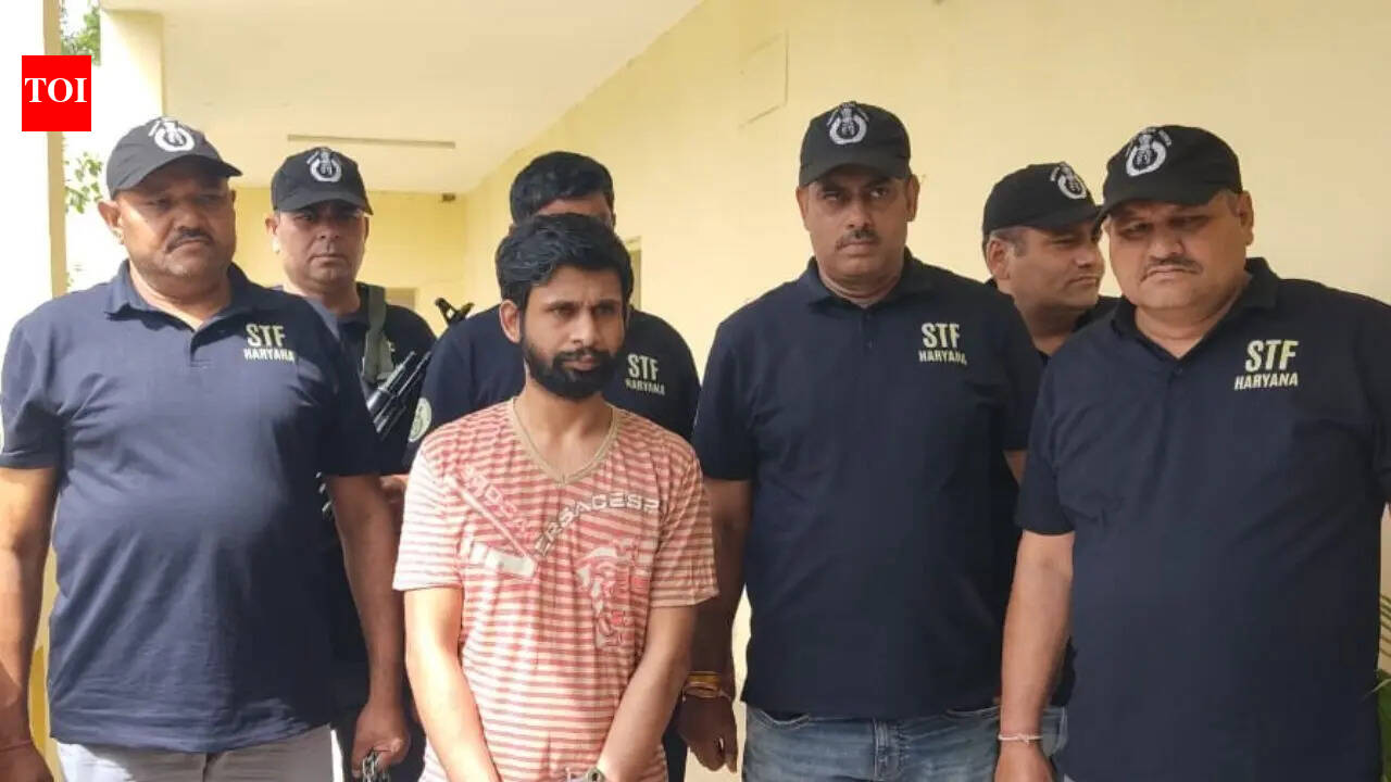 Haryana STF extradites wanted gangster Venkat Garg from Georgia in first-ever India transfer; faces 34 criminal cases