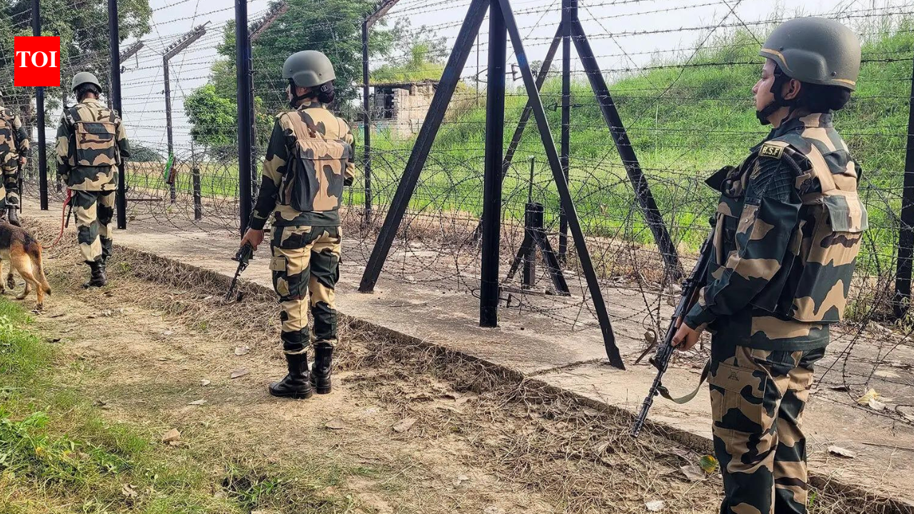 ‘Human shield’ on India border: Bangladesh opposition to launch protest over alleged 'push-ins'