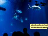 Sunken cities and lost ships: 5 most spectacular underwater museums in the world
