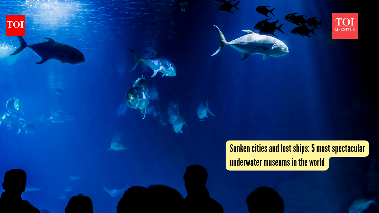 Sunken cities and lost ships: 5 most spectacular underwater museums in the world