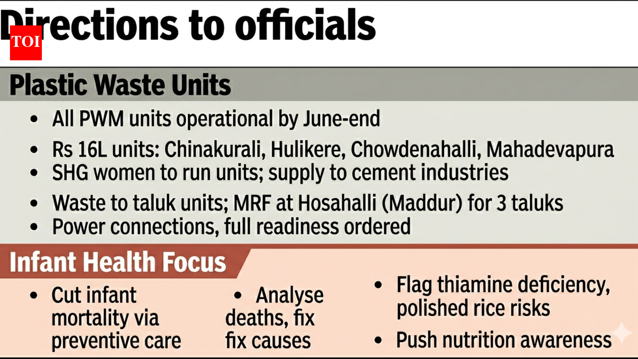 Mandya to operationalise plastic waste units by June-end: ZP CEO