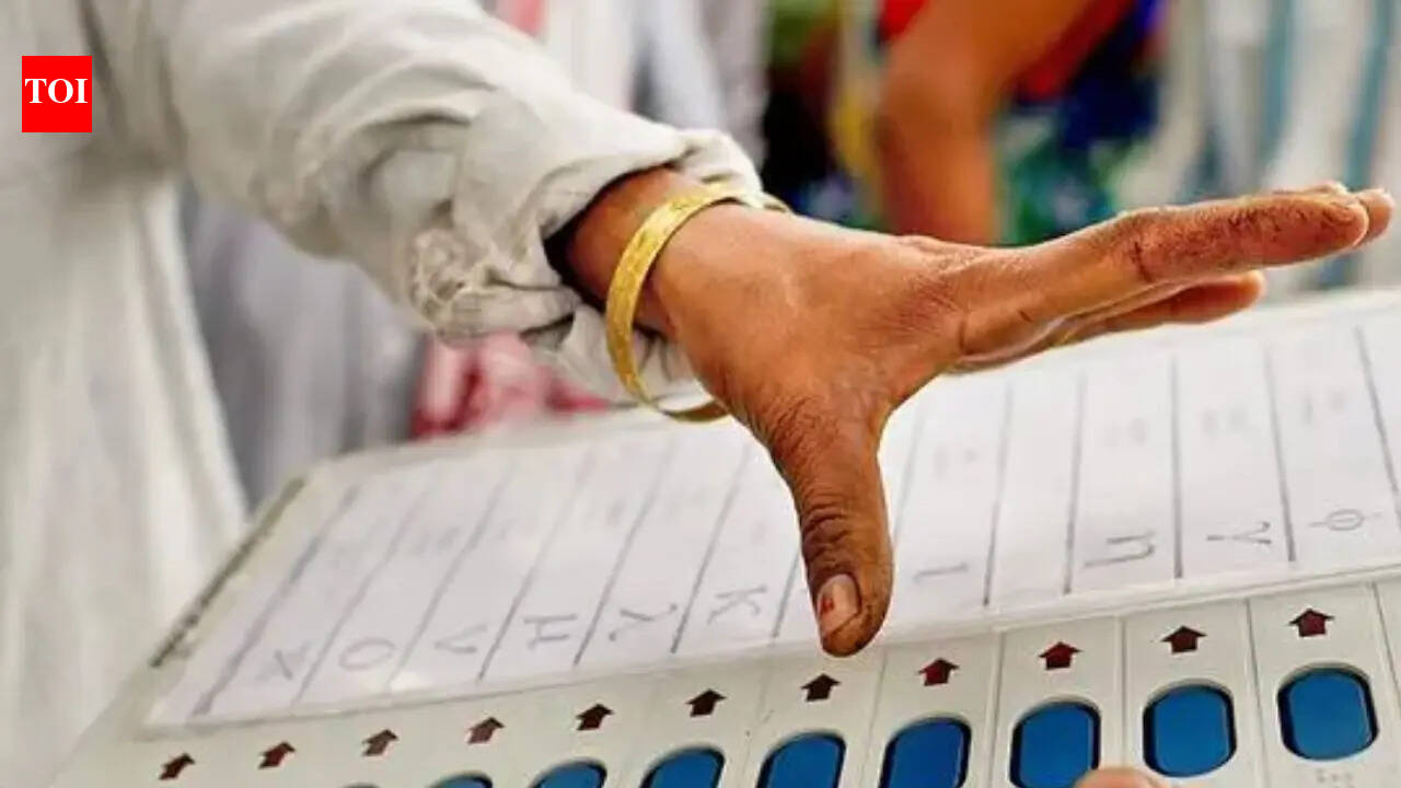 UP panchayat poll roll reveals 85L gender gap; men outnumber women in voters list