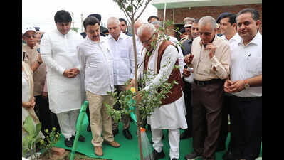 Pipeline network to supply treated water to 170 parks in city, support 51k new saplings