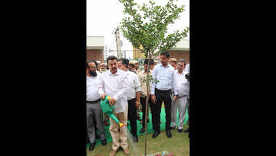 Pipeline network to supply treated water to 170 parks in city, support 51k new saplings