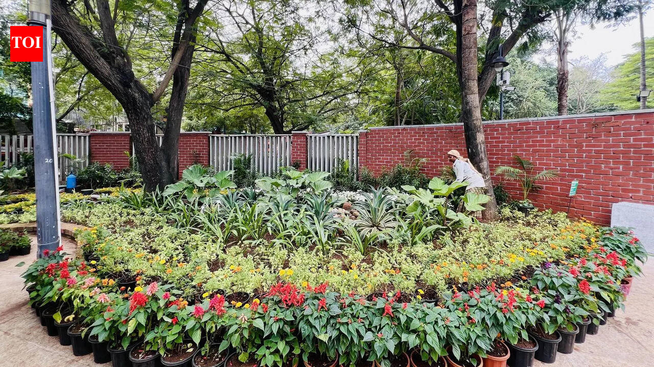 DDA Launches Massive Plantation Drive Across City