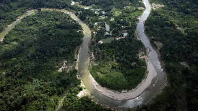 Brazil reports drop in Amazon deforestation rates, pushing back on US tariff accusations