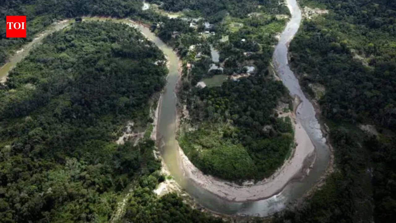 Brazil reports drop in Amazon deforestation rates, pushing back on US tariff accusations