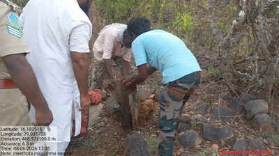 ASI begins epigraphical survey in Nallamala forest