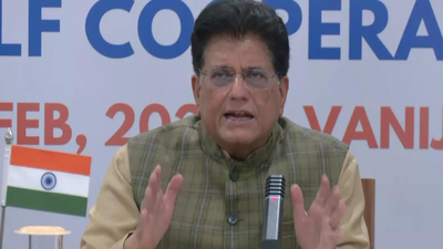 Countries protecting domestic industries, India no exception: Piyush Goyal on global trade