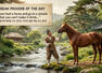 Korean proverb of the day: &ldquo;You can lead a horse and go to a stream but you can&rsquo;t make it drink...&rdquo;
