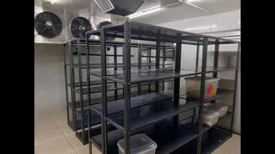 A new vault for green gold: PAU opens state-of-the-art gene bank