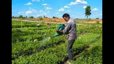 Cauvery Calling to hold seminar on food forests, sustainable farming at Trichy SRM institute