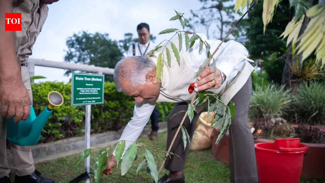 Mizoram guv leads Green Mizoram Day plantation drive