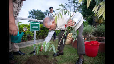 Mizoram guv leads Green Mizoram Day plantation drive