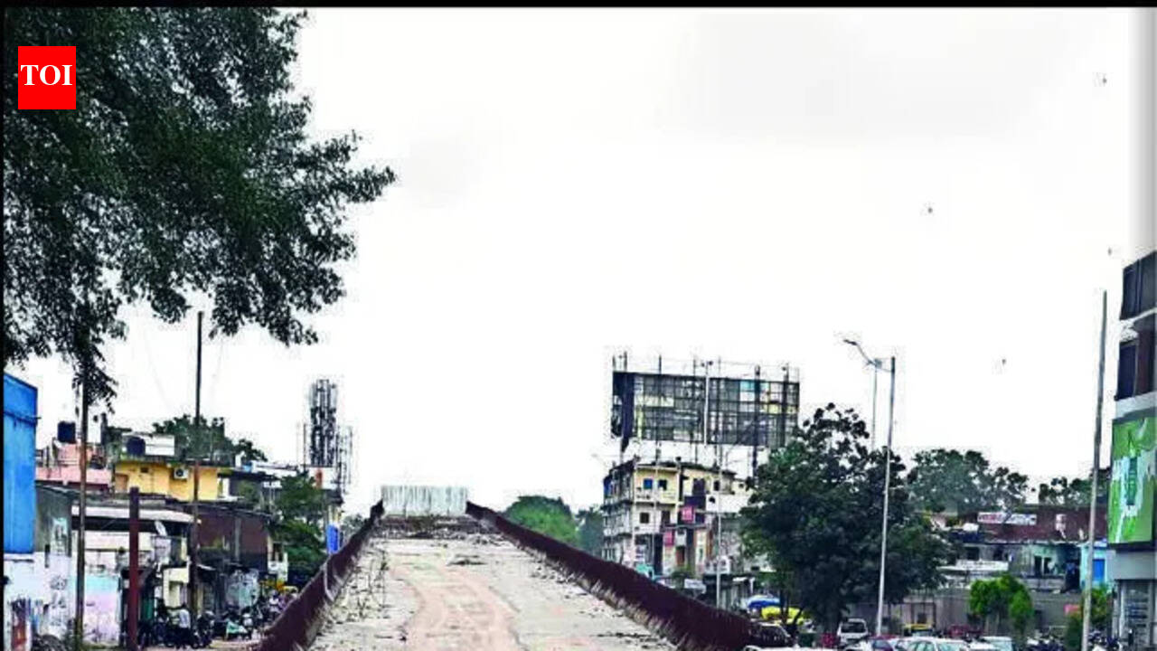 Naroda Patiya flyover project delayed by a year