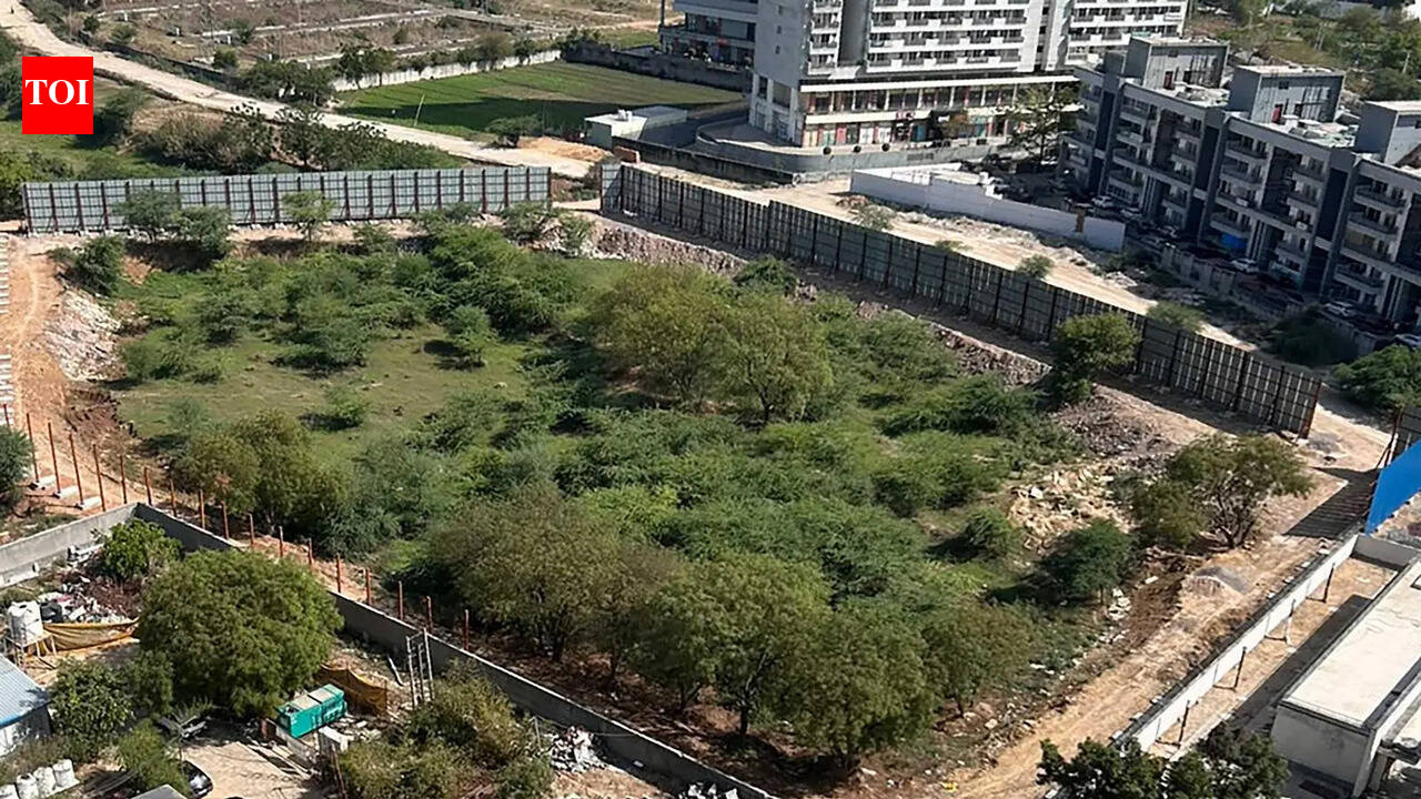 NGT takes up plea against demolition waste centre near homes in Gurgaon, serves notice to agencies