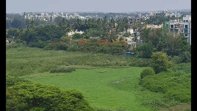 Kolhapur Municipal Corporation’s general body will consider proposals to convert 6-hectare green belt land near Rankala to yellow belt for residential use