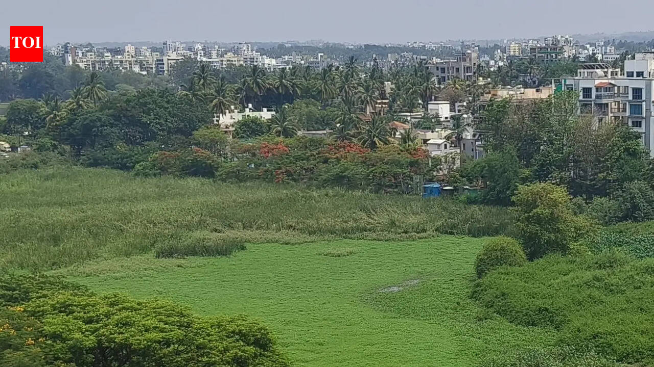 Kolhapur Municipal Corporation’s general body will consider proposals to convert 6-hectare green belt land near Rankala to yellow belt for residential use