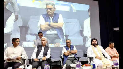 N Bengal a priority in budget: Swapan