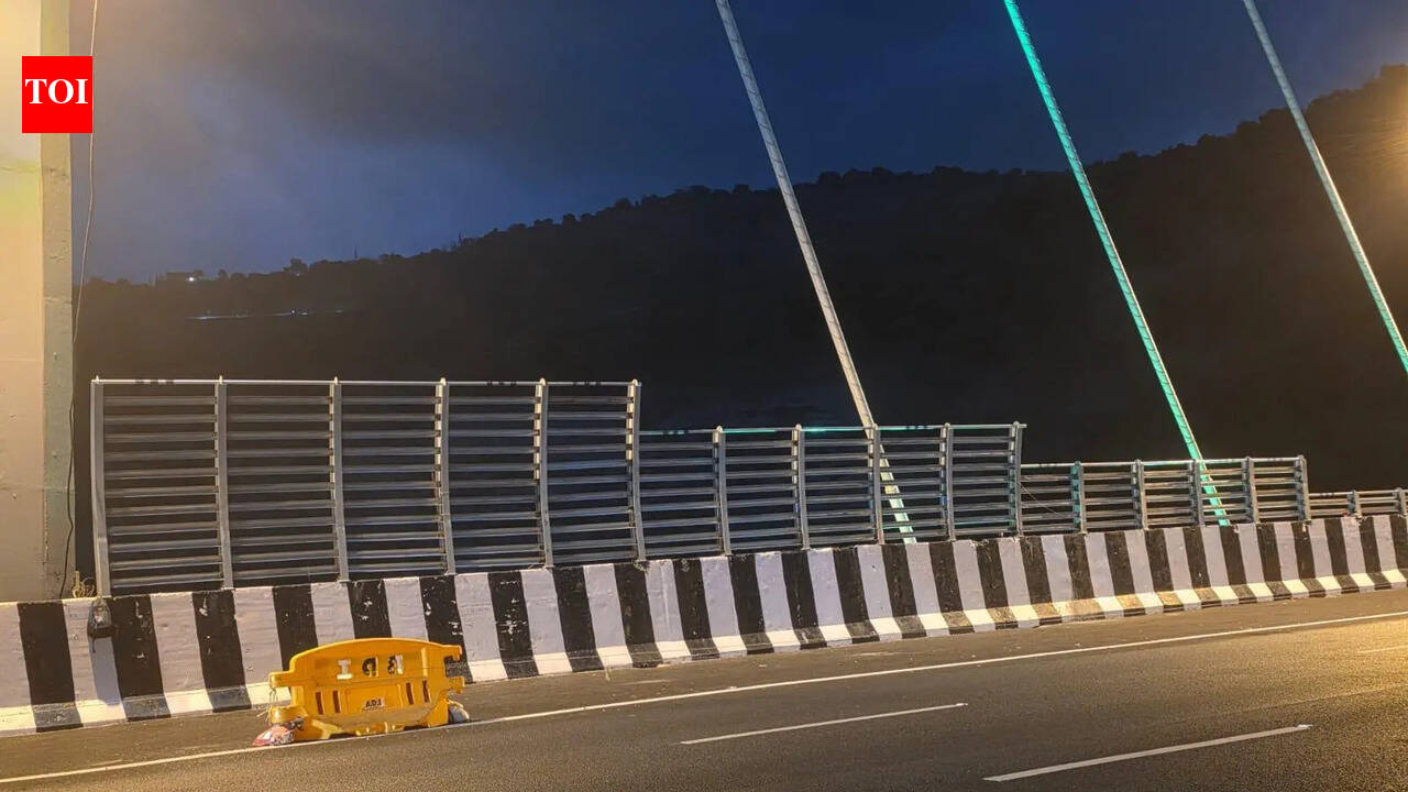 MSRDC installs wind barriers on eway’s new link bridge to tackle crosswinds