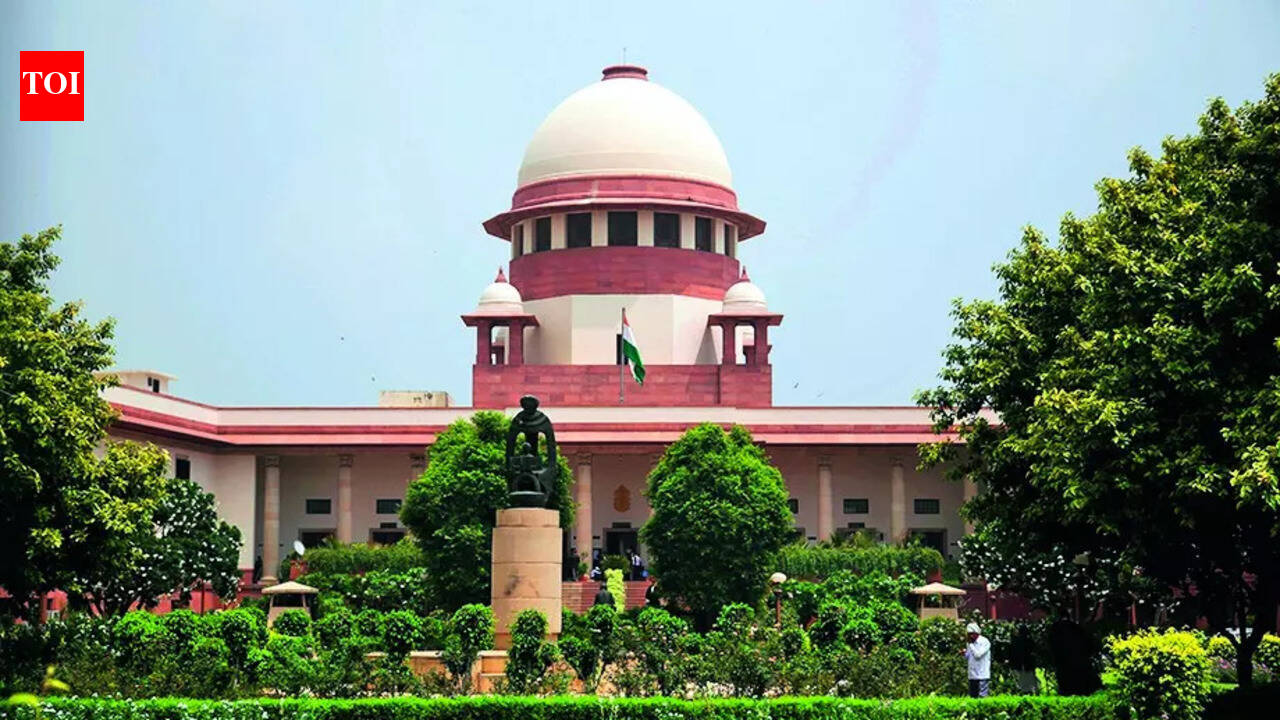 Staff dismissal only for grave violations like corruption: SC
