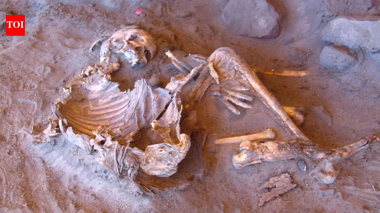 7,000-year-old mummy DNA reveals a lost human lineage hidden in the Sahara for 50,000 years