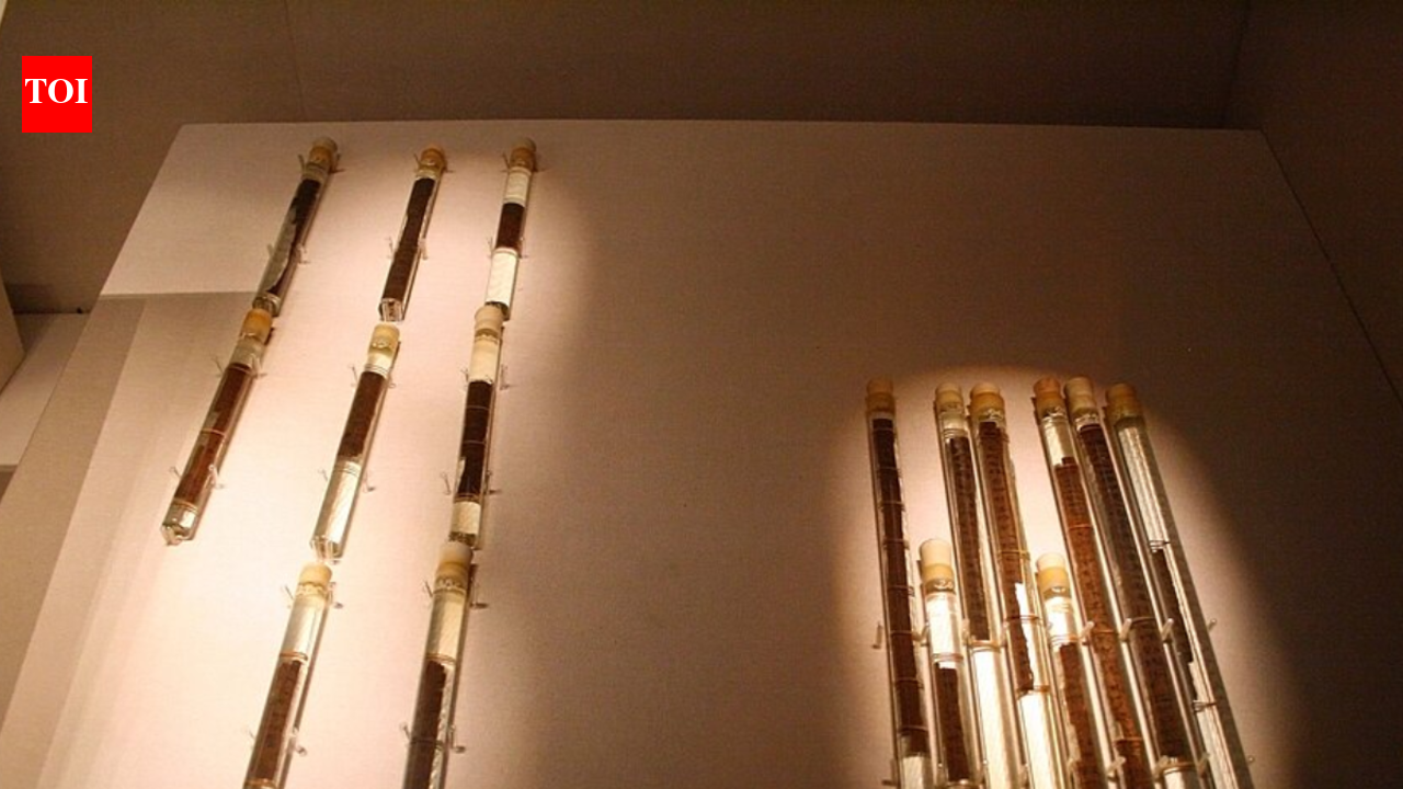 In 1972, archaeologists opened a Han tomb in Shandong and rediscovered lost military classics