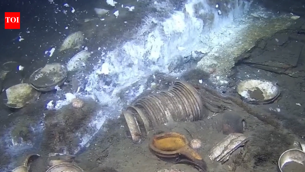 Deep beneath Norwegian waters, a shipwreck frozen in time is unlocking secrets of Europe's porcelain trade