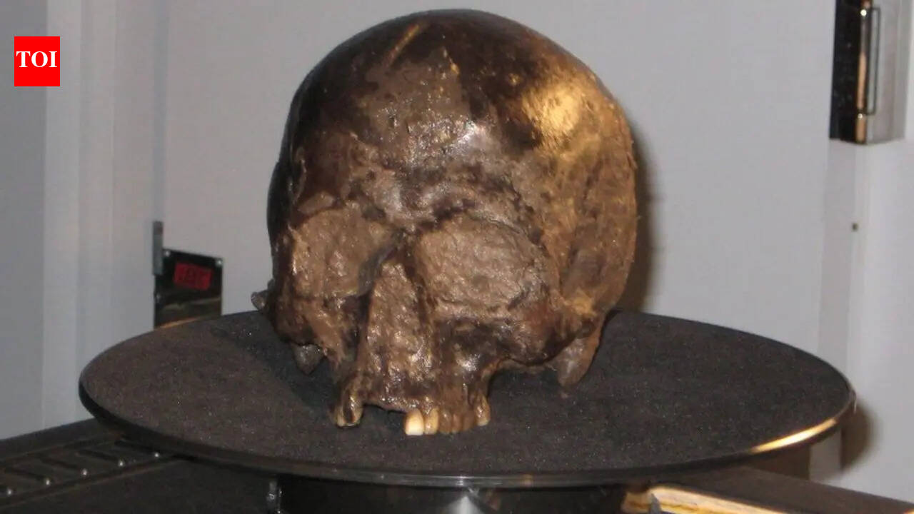 Scientists found a 2,600-year-old brain inside an Iron Age skull and it was still intact