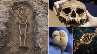 400-year-old burial in Finland uncovers a man whose bones, DNA, and teeth tell conflicting stories