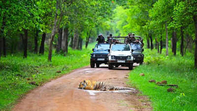 How monsoon is transforming wildlife travel for Hyderabadis