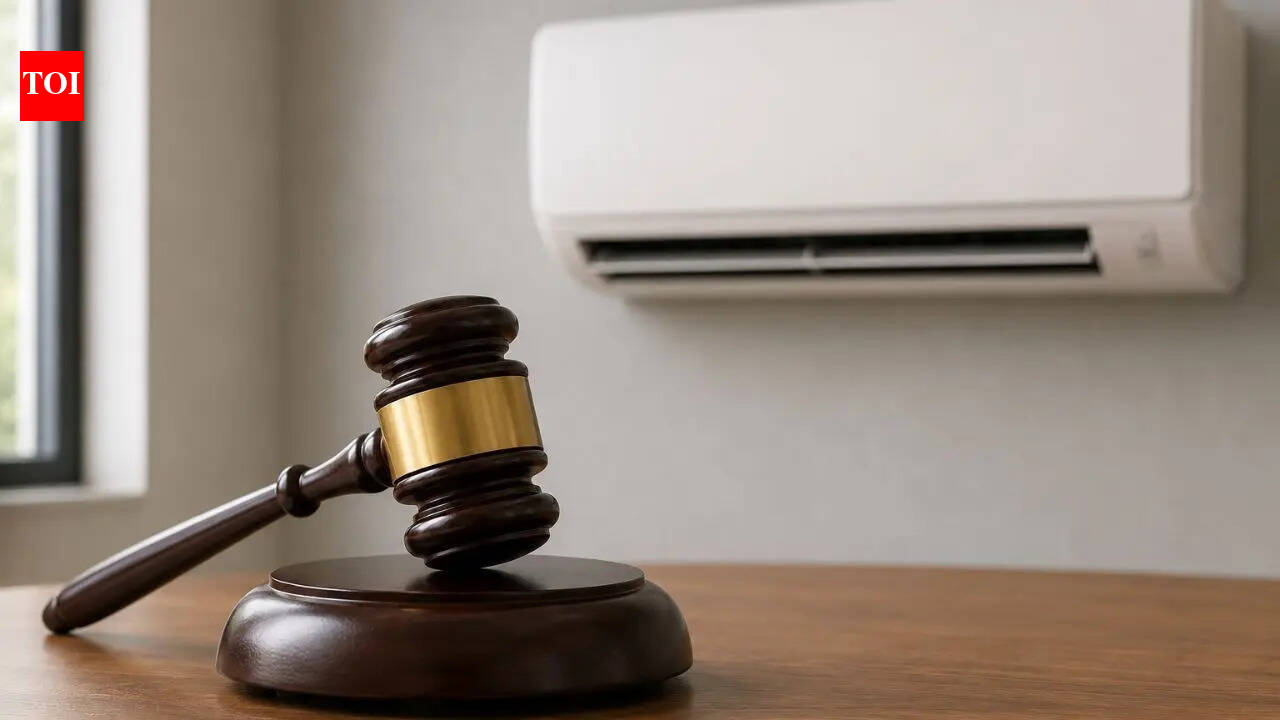 Man buys Rs 1.14 lakh AC that wouldn't cool; Delhi court orders full refund plus Rs 25K compensation