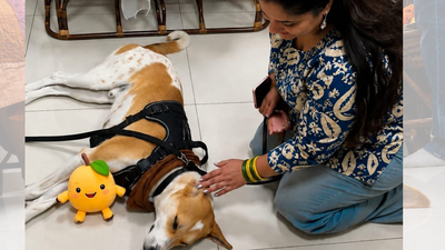 From Odisha's streets to global peace symbol: Peace dog Aloka in Delhi, meets Maneka Gandhi