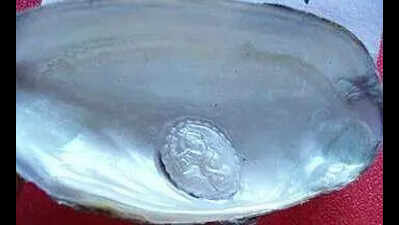 Govt allocates Rs3 cr for pearl farming promotion