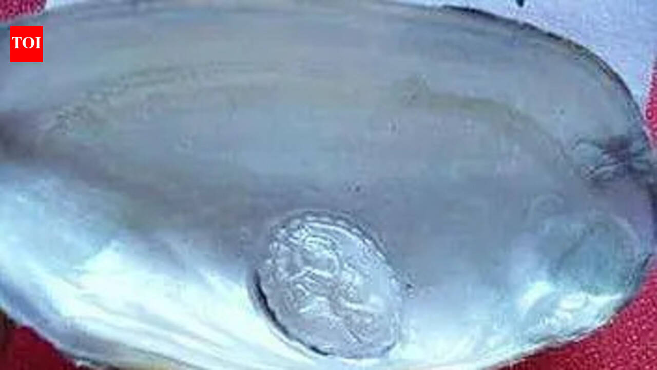 Govt allocates Rs3 cr for pearl farming promotion