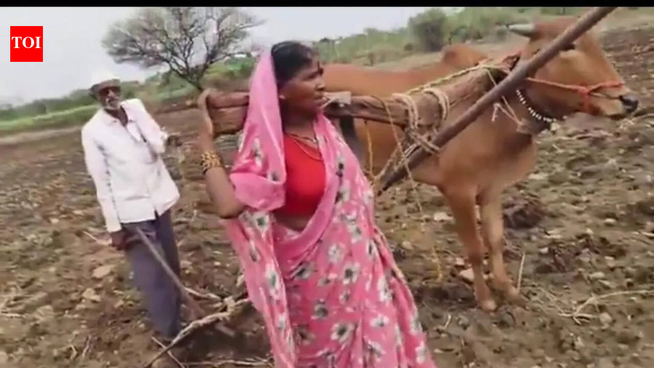 Fadnavis orders officials to take landless Latur farmer to cattle market to pick bull himself after replacement found unfit