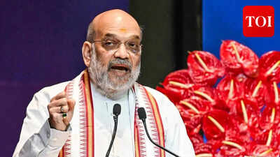 Amarnath Yatra: Amit Shah orders multi-layered security, pushes tech-driven pilgrim safety