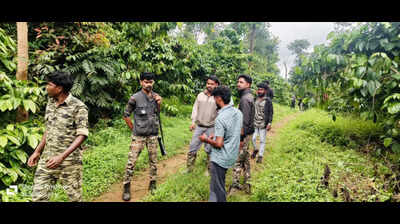 Wild elephant charges at foresters team during operation in Kodagu village