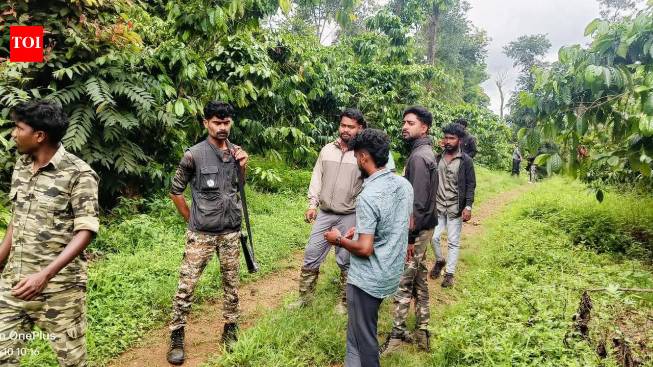Wild elephant charges at foresters team during operation in Kodagu village