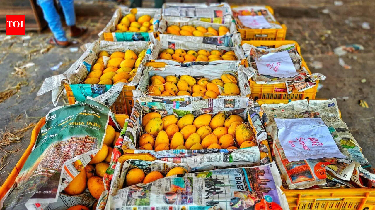 South Indian fruits festival in Trichy on June 14