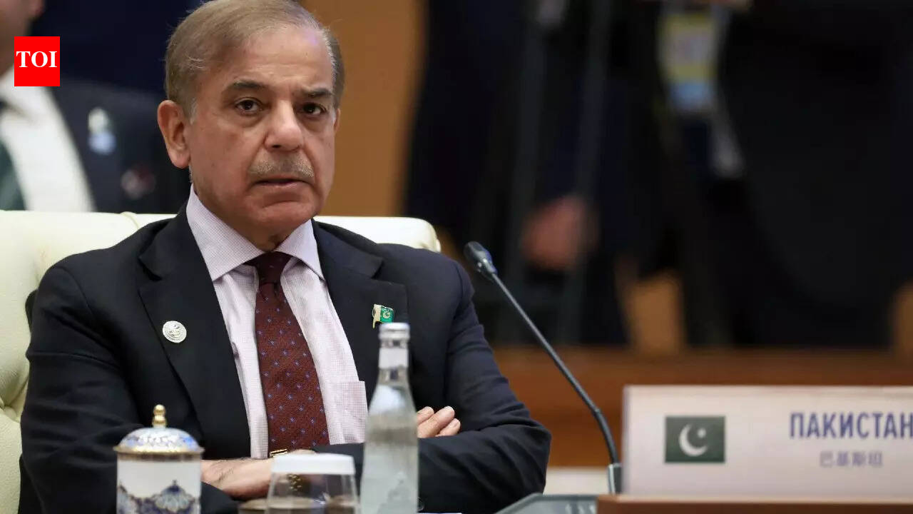 Pakistan raises defence budget by 17.6% as Shehbaz government unveils new fiscal plan