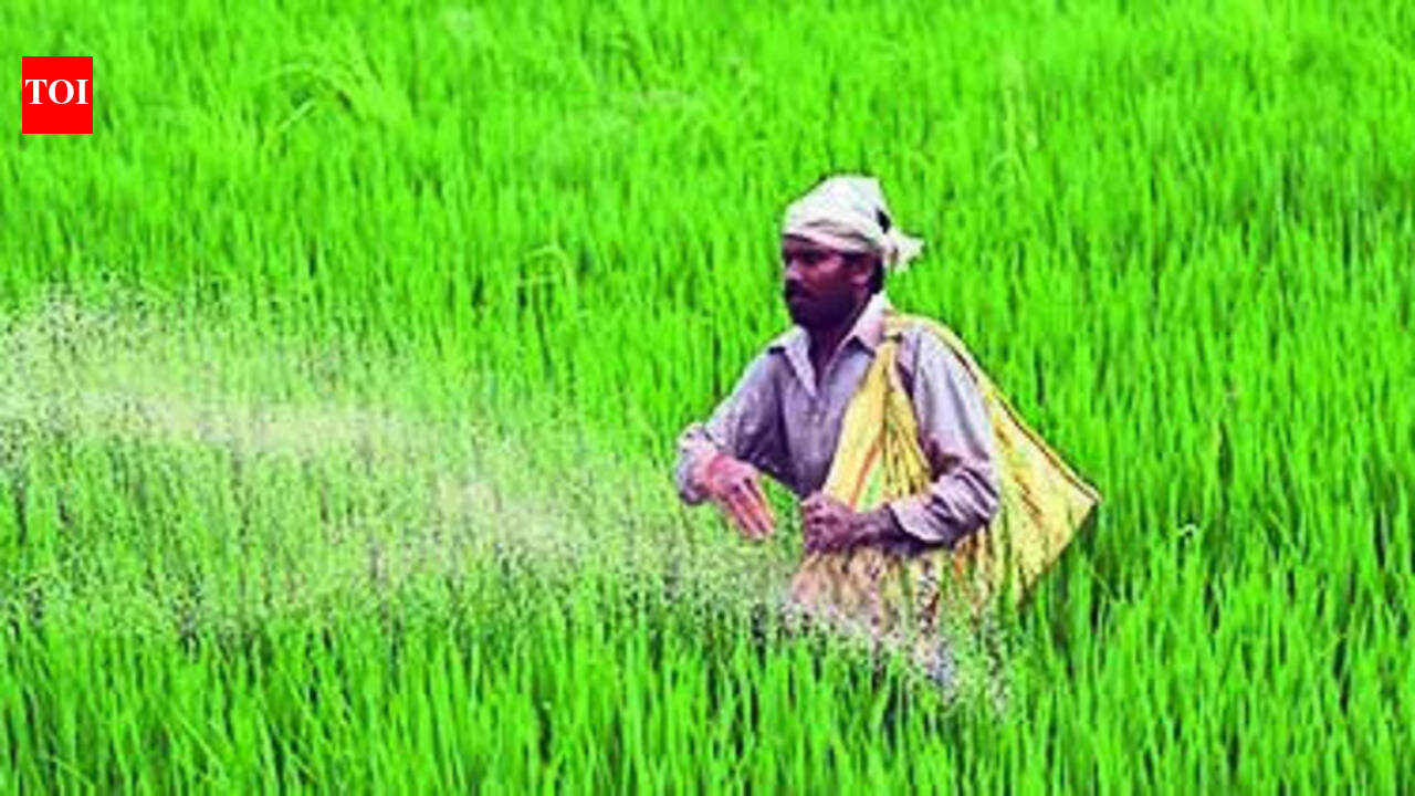 Telangana’s Rs 30k crore borewell boom fuels paddy surge