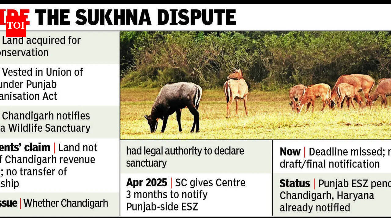 SC deadline missed; Punjab-side ESZ around Sukhna still pending, legality row resurfaces