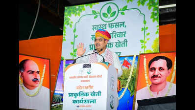 Raj extends MSP wheat procurement till June 19, raises target to 28.5L MT