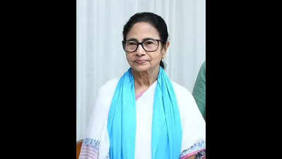 ‘Breach of peace provocation’: FIR against Didi over March 9 speech