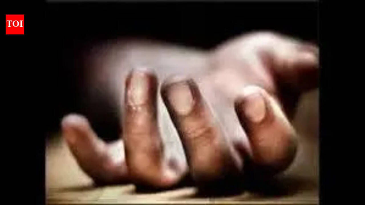 Elderly woman’s dismembered body found in sacks in Tonk dist