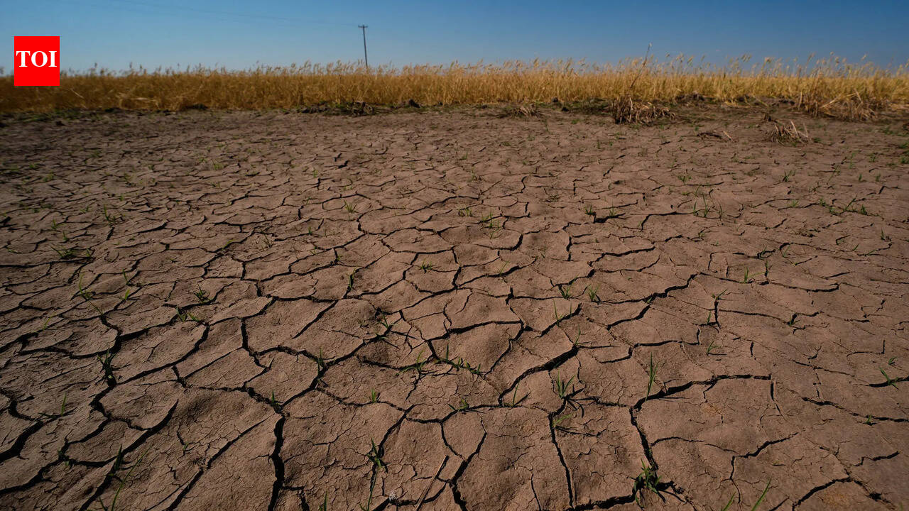 El Niño here, 63% chance it will be super strong: US
